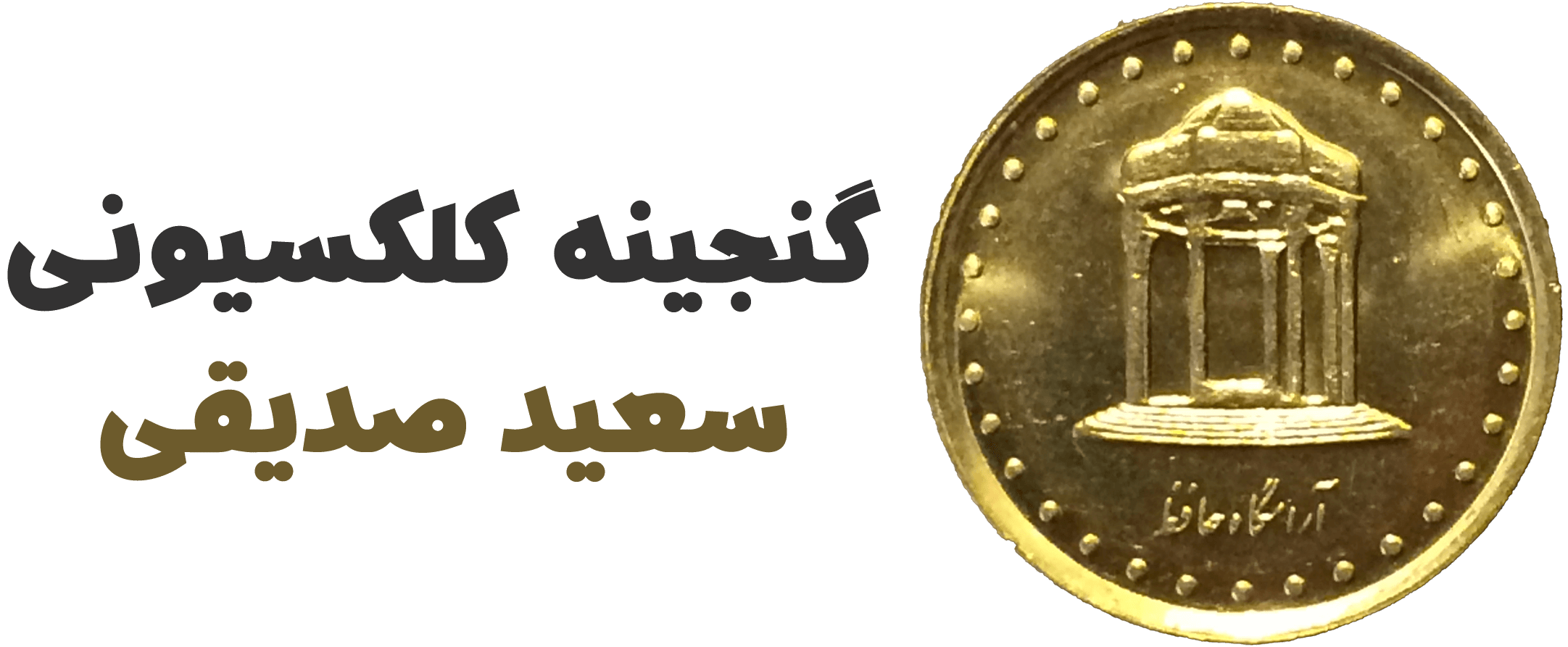 گنجینه سعید صدیقی